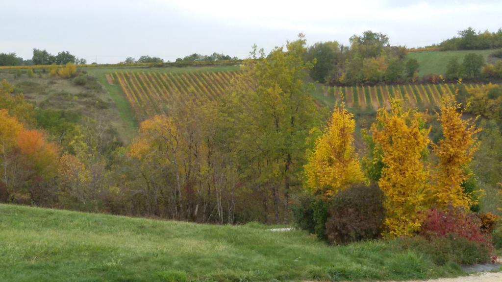 Les Hauts D'albas Casa de Férias Albas (Lot)